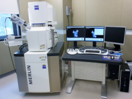 场发射扫描电子显微镜 (Zeiss Merlin ）